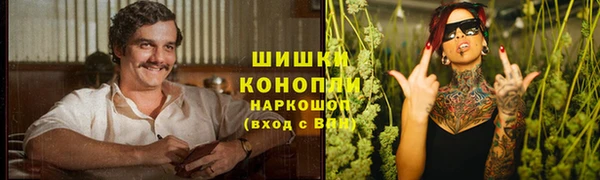 тгк Ельня