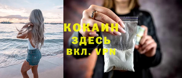 хмурый Елизово