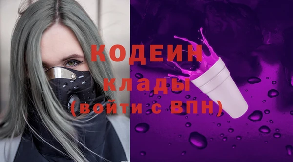 тгк Ельня