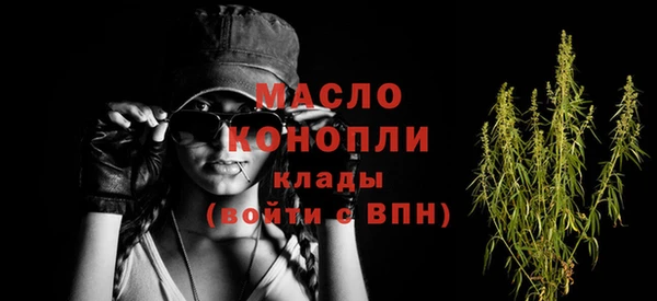 тгк Ельня