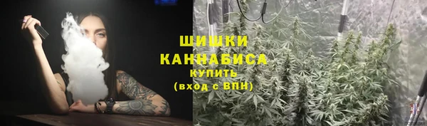 индика Дмитриев