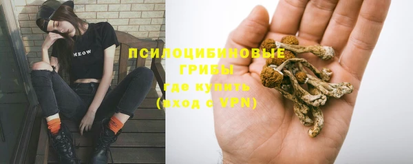 тгк Ельня