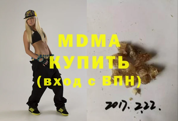индика Дмитриев