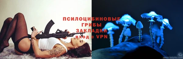 кокс Дмитровск
