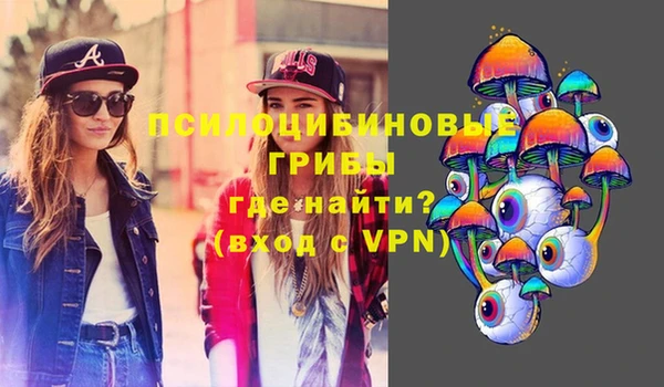 индика Дмитриев