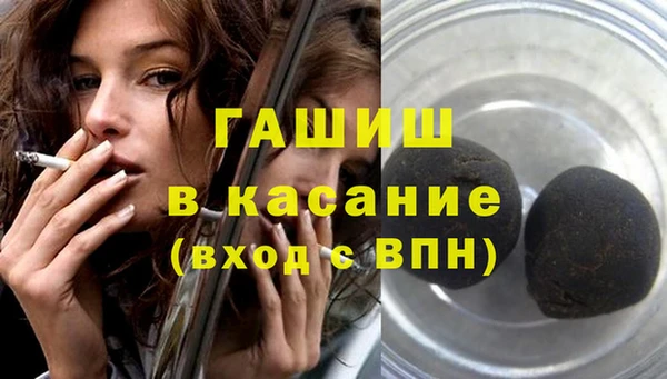 индика Дмитриев