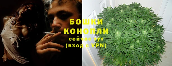 тгк Ельня