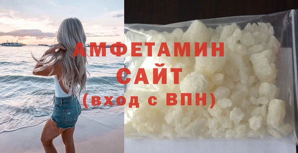 индика Дмитриев