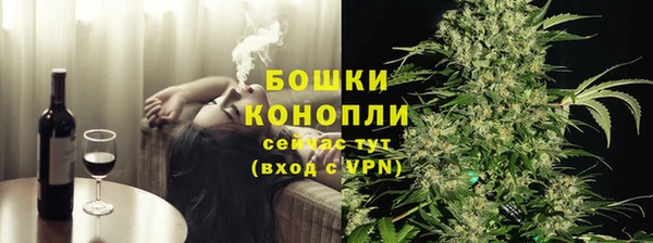 индика Дмитриев