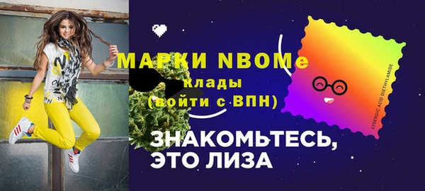 хмурый Елизово