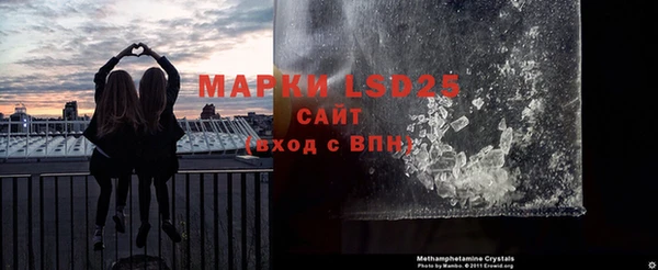 индика Дмитриев