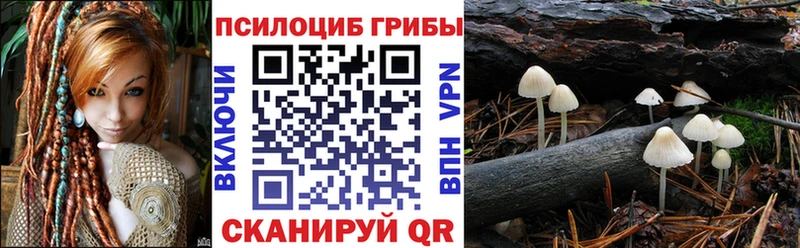 Псилоцибиновые грибы MAGIC MUSHROOMS  гидра как войти  Ангарск  наркотики 